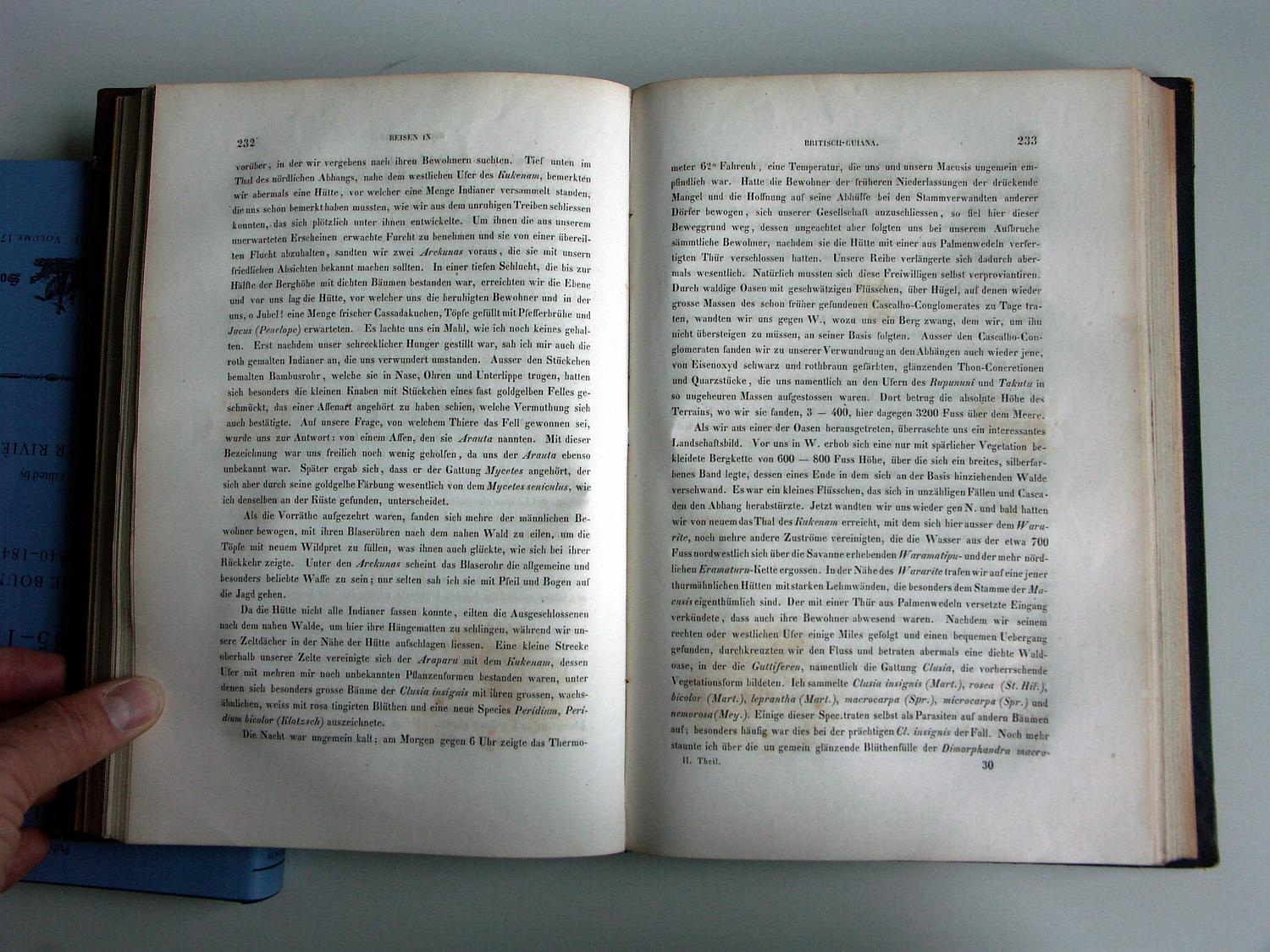 ZZ-RISC48,S.232 Arecuna und Blasrohr